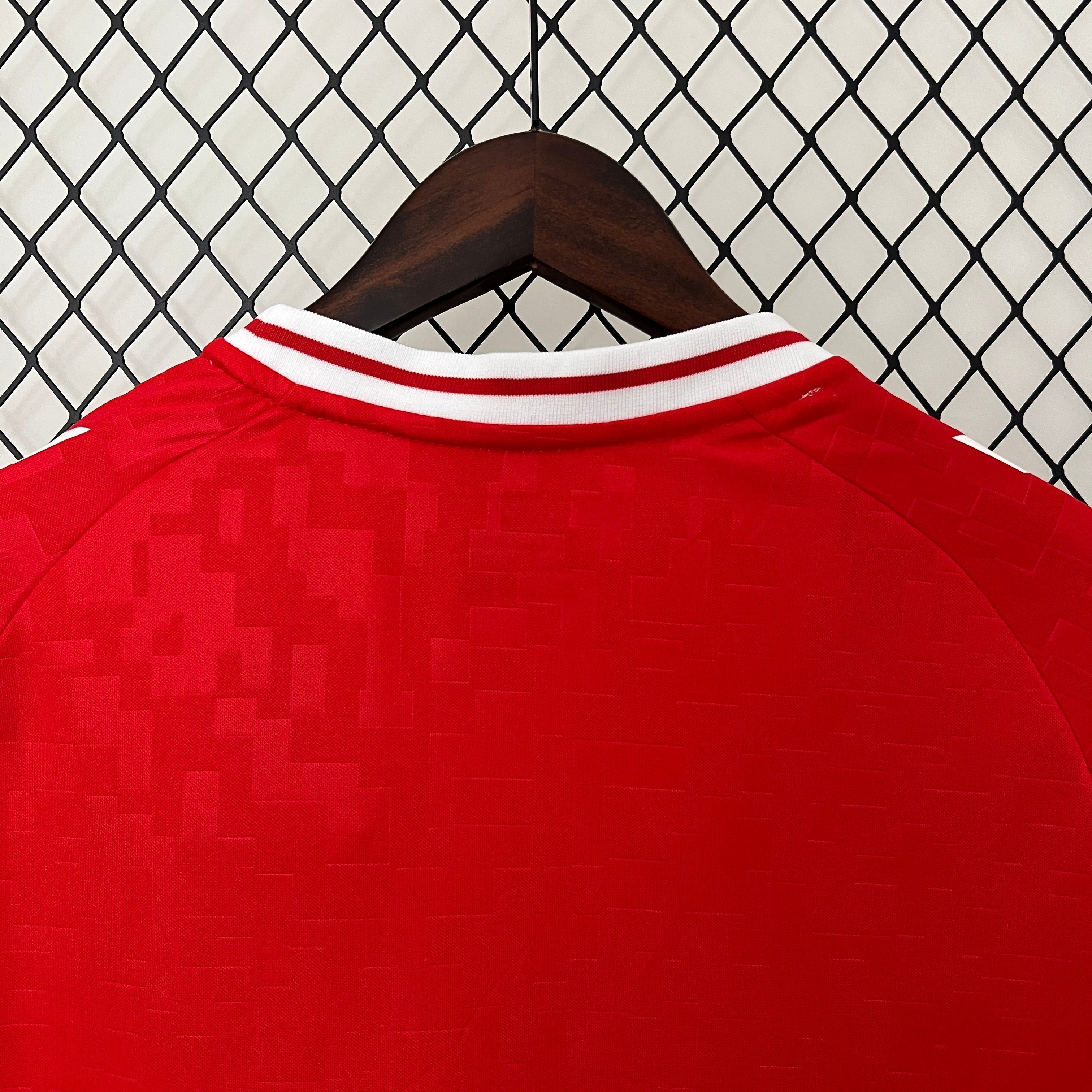 Camisa Seleção Dinamarca Home 2024