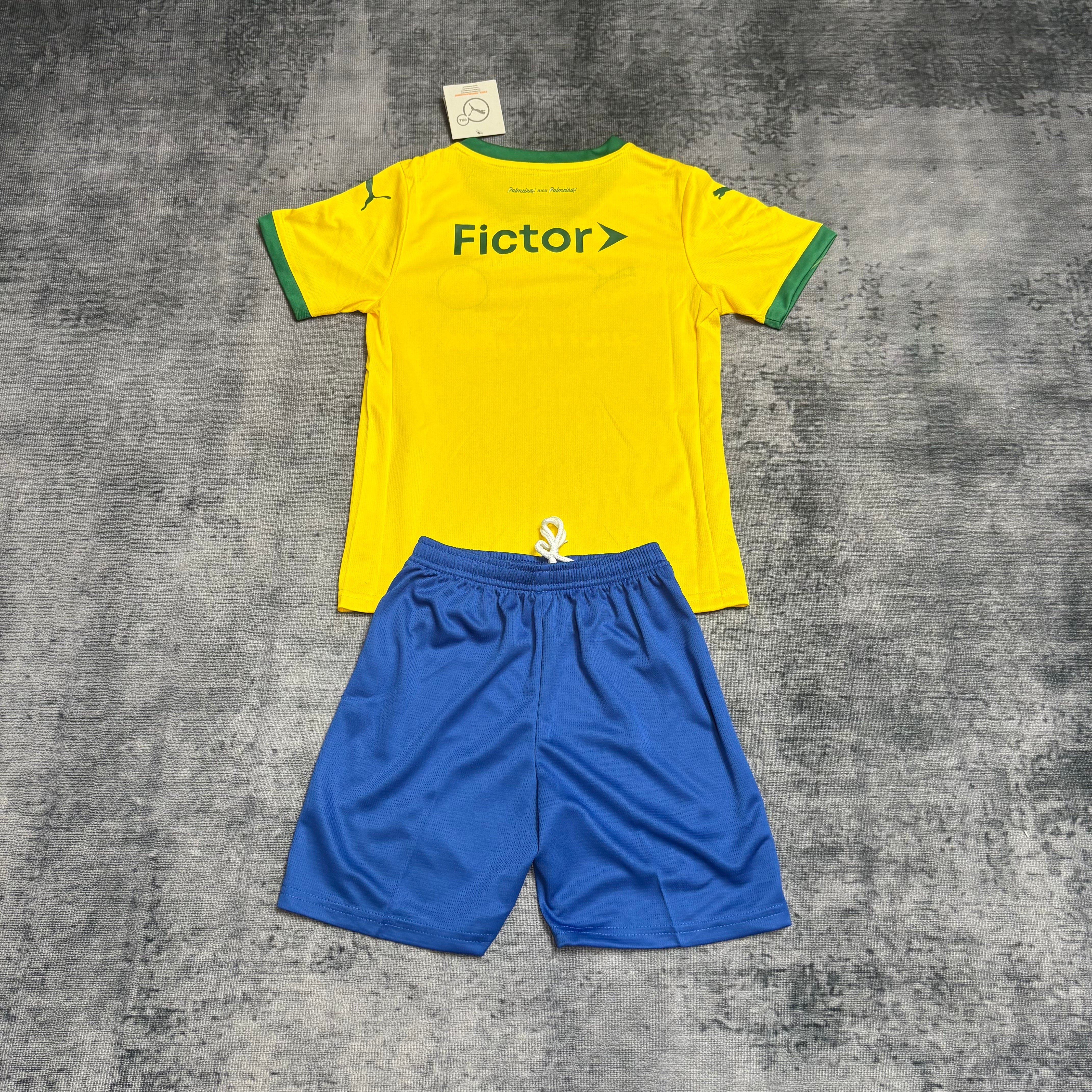 Kit Infantil Palmeiras 25/26
