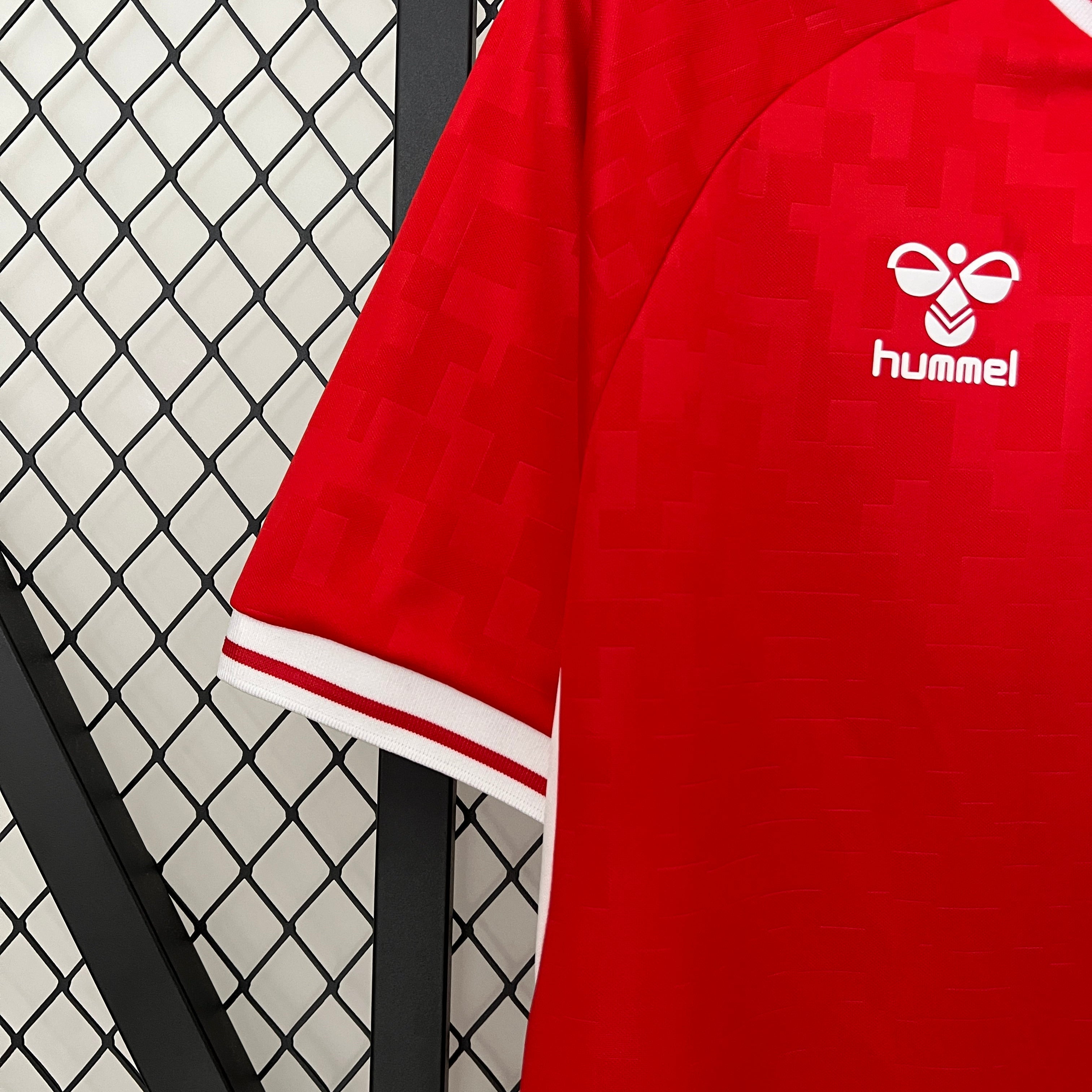 Camisa Seleção Dinamarca Home 2024