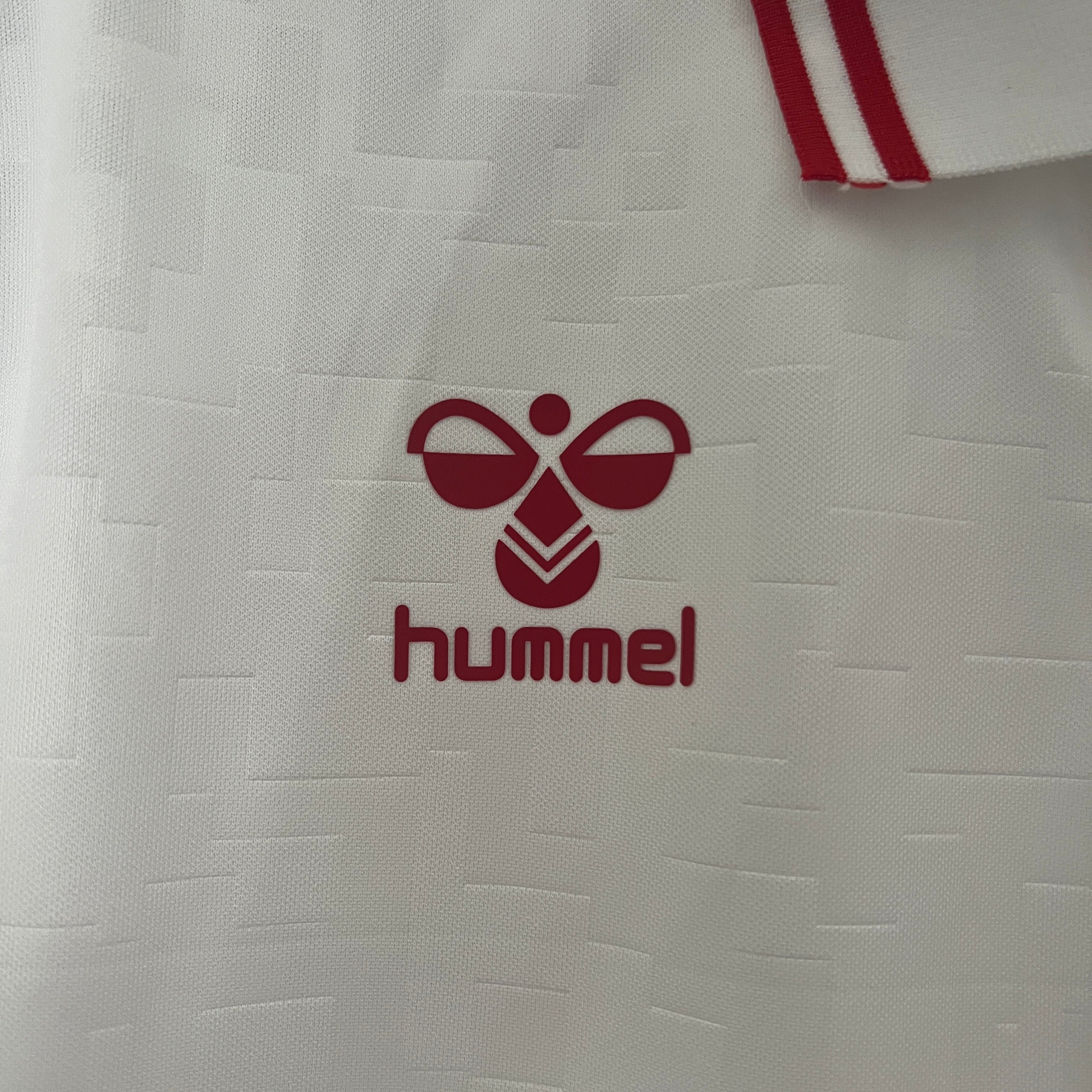 Camisa Seleção Dinamarca Visitante 2024