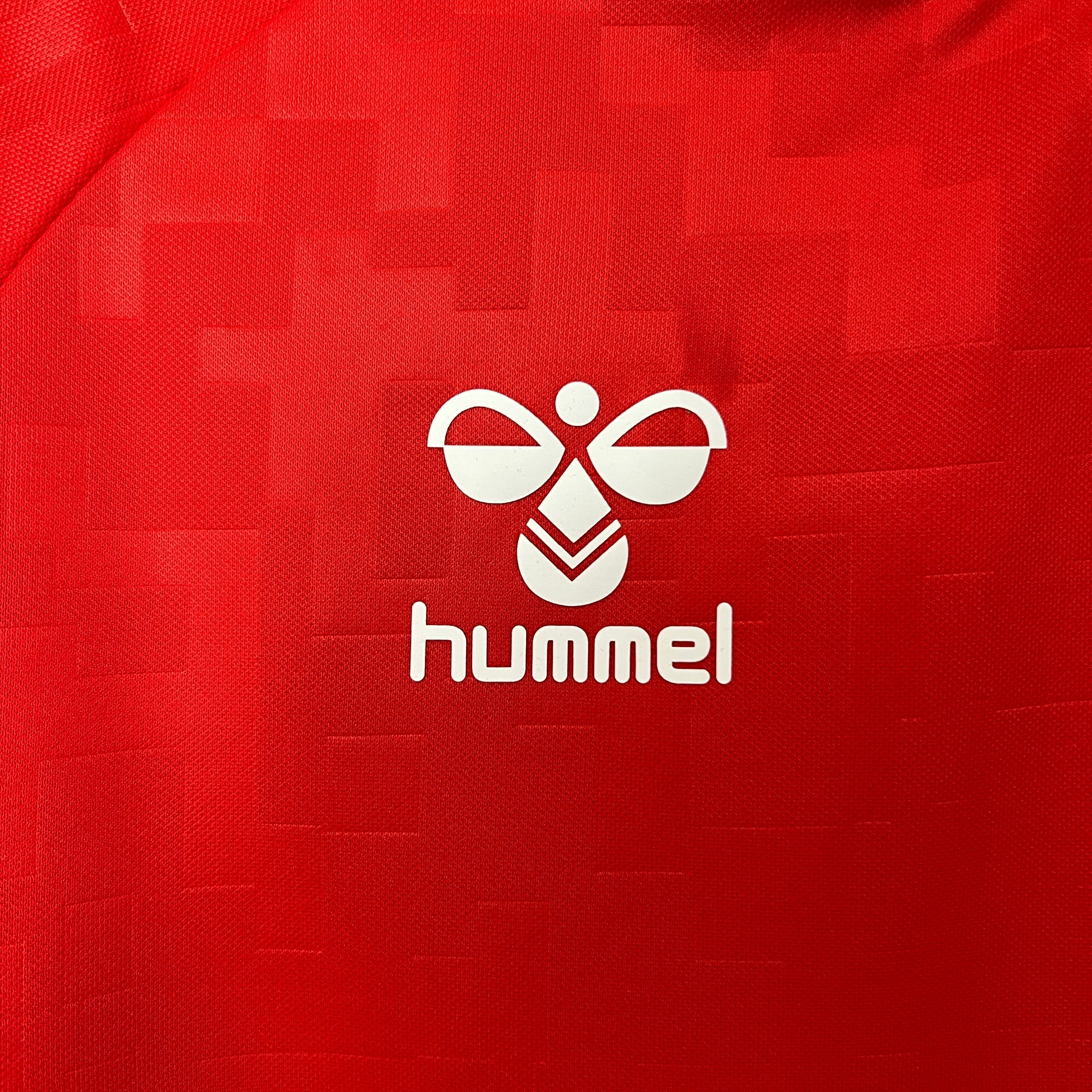 Camisa Seleção Dinamarca Home 2024