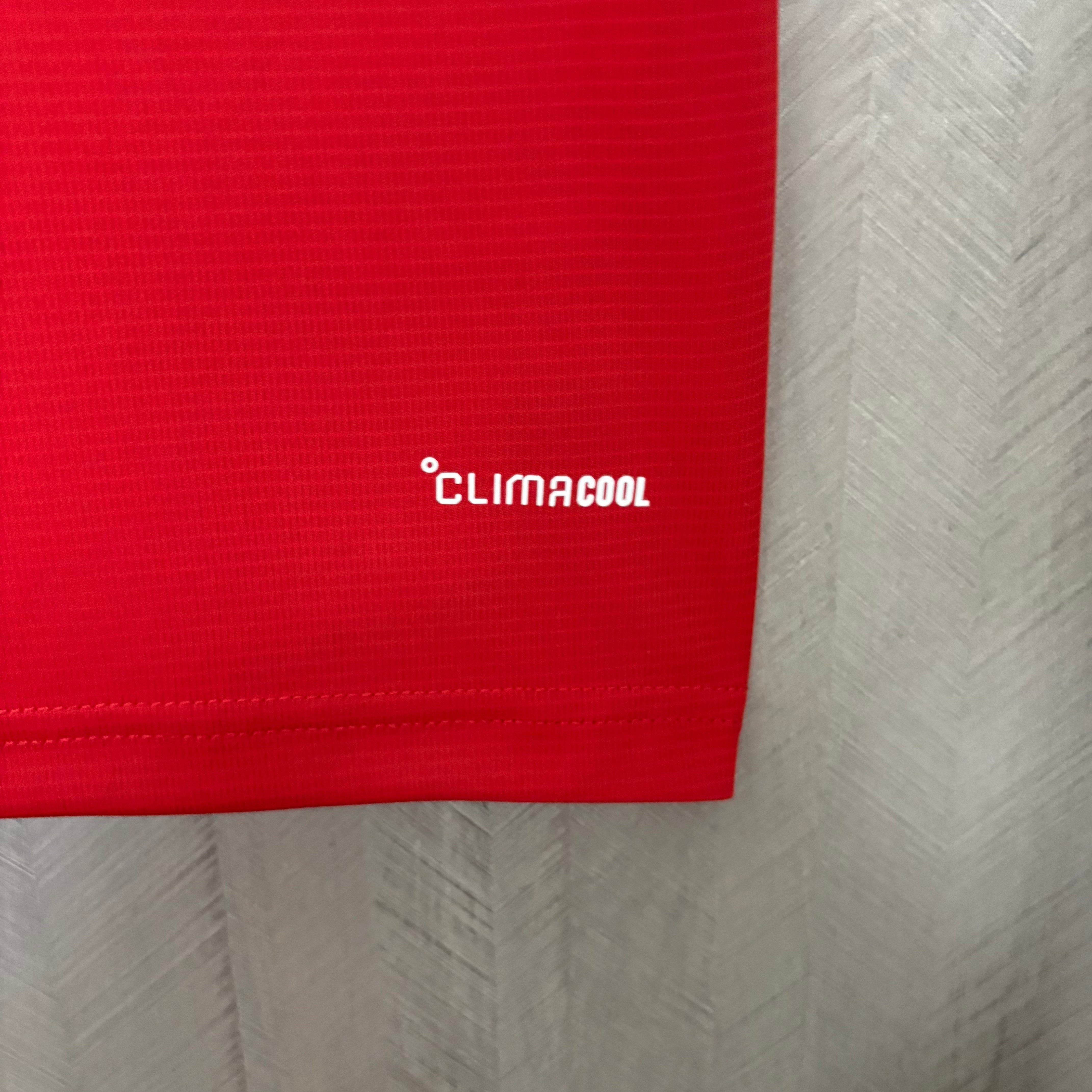 Camisa Seleção País de Gales Home 2026